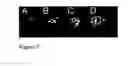 Fig. 08 - METHODS FOR IN VIVO IMAGING OF CELLS