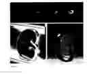 Fig. 12 - METHODS FOR IN VIVO IMAGING OF CELLS