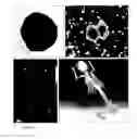 Fig. 13 - METHODS FOR IN VIVO IMAGING OF CELLS