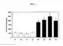 Fig. 06 - Methods and compositions for imaging cancer cells