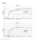 Fig. 04 - RECOMBINANT NEWCASTLE DISEASE VIRUS