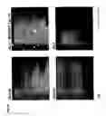 Fig. 06 - RECOMBINANT NEWCASTLE DISEASE VIRUS