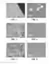 Fig. 02 - CRYSTALLIZATION OF ANTI-CD20 ANTIBODIES