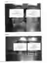 Fig. 02 - ANTIBODY FORMULATIONS