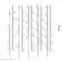 Fig. 11 - Multidrug resistance-associated polypeptide