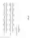 Fig. 14 - Multidrug resistance-associated polypeptide
