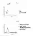 Fig. 06 - Human monoclonal antibodies specific for CD22