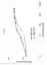 Fig. 11 - Human monoclonal antibodies specific for CD22