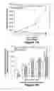 Fig. 02 - PHARMACEUTICAL COMPOSITIONS AND METHODS USING SECRETED FRIZZLED RELATED PROTEIN