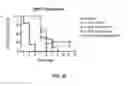 Fig. 22 - INFLUENZA VACCINE FORMULATION