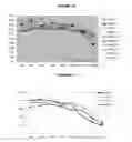 Fig. 08 - Combinations of pneumococcal RrgB clades