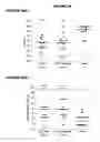 Fig. 22 - Combinations of pneumococcal RrgB clades