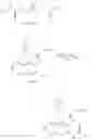Fig. 09 - TARGETED SYNTHETIC NANOCARRIERS WITH PH SENSITIVE RELEASE OF IMMUNOMODULATORY AGENTS