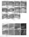 Fig. 12 - Silk Fibroin Hydrogels and Uses Thereof