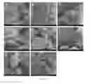 Fig. 14 - Silk Fibroin Hydrogels and Uses Thereof