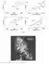 Fig. 16 - Silk Fibroin Hydrogels and Uses Thereof