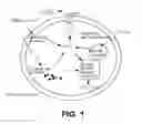 Fig. 02 - COMPOSITIONS AND METHODS OF USE FOR POST-RADIATION PROTECTION