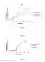 Fig. 02 - DELAYED RELEASE COMPOSITIONS OF DULOXETINE