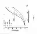 Fig. 02 - Slow release magnesium composition and uses thereof