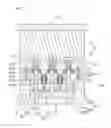 Fig. 02 - Multi-cavity mold