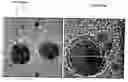 Fig. 01 - Core-shell type nanoparticles comprising crystalline metal-oxide shell and method for preparing the same