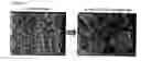 Fig. 02 - Core-shell type nanoparticles comprising crystalline metal-oxide shell and method for preparing the same