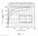 Fig. 07 - Protective and precipitation layers for PEM fuel cell