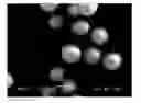 Fig. 01 - Electrostatic image developing toner