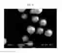 Fig. 03 - Electrostatic image developing toner