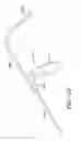 Fig. 28 - ULTRASONIC TIP FOR DENTAL DEVICE