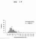 Fig. 07 - Screening method for damaged DNA repairing substance