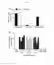 Fig. 02 - Characterization of BBK07 antigen of and methods of use