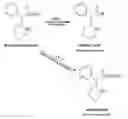 Fig. 01 - Carboxylesterase-1 Polymorphisms and Methods of Use Therefor