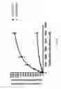 Fig. 09 - Carboxylesterase-1 Polymorphisms and Methods of Use Therefor