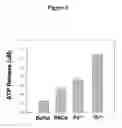 Fig. 07 - BIOMARKERS FOR DIAGNOSTIC AND THERAPEUTIC METHODS