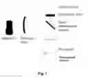 Fig. 08 - Method for determining thrombin activity