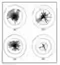 Fig. 01 - Compositions and methods for detecting phosphomonoester