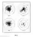 Fig. 12 - Compositions and methods for detecting phosphomonoester