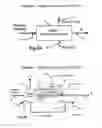 Fig. 03 - Biological solids processing system and method