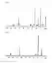 Fig. 02 - Microorganism producing cyclic compound