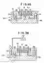Fig. 05 - Mesoscale polynucleotide amplification devices