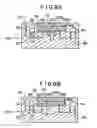 Fig. 07 - Mesoscale polynucleotide amplification devices