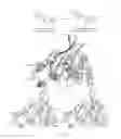 Fig. 02 - Chalcone isomerase polypeptides and crystals thereof