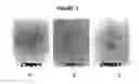Fig. 03 - Carbon nanotube binding peptides