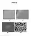 Fig. 04 - Carbon nanotube binding peptides