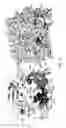 Fig. 06 - Viruses lacking epithelial cell receptor entry