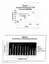 Fig. 02 - Oral detection test for cannabinoid use