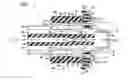 Fig. 04 - STACKED FPC CONNECTOR