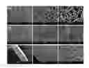 Fig. 01 - Shape memory elastomeric composites and method of manufacturing