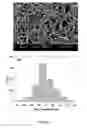 Fig. 09 - Shape memory elastomeric composites and method of manufacturing
